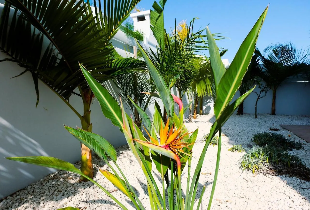 Nissini Blanco, 3 Bedroom Villa With Private Pool, 5 Min To The Beach Ayia Napa